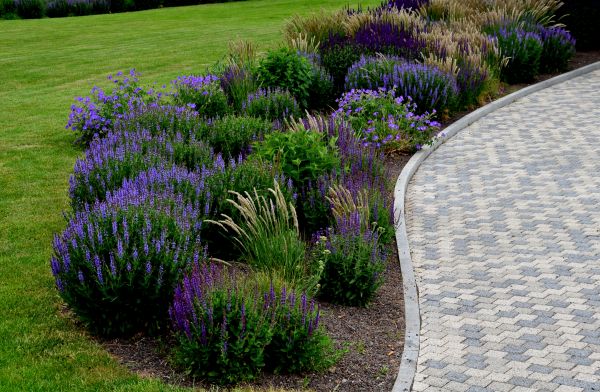 Sidewalk Curb Installation in South Jordan