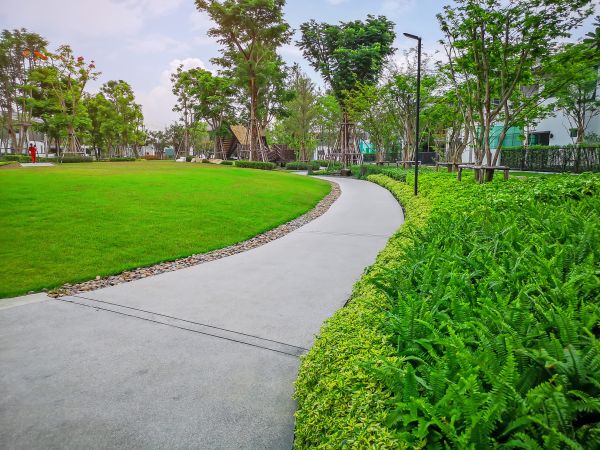 Cement Walkway Service in South Jordan